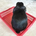 ひとりは寂しい。