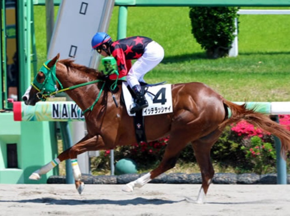 ホリエモンの馬イッテラッシャイ強すぎワラタｗｗｗ