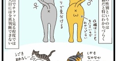 次のターゲット③【NNNにロックオンされています】
