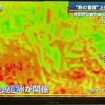 ぼちぼちと２