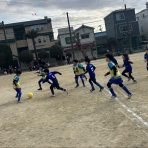 プライマリーカラーFC