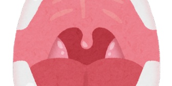 子供のいびきが酷くて耳鼻科に行ったら扁桃腺が通常より大きくて眠りが浅くなっていることが分かった。扁桃腺って取ってもいいものなの？入院して手術は可哀相だし悩んでる