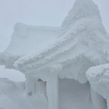 『神社参拝』の画像