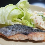 わんぽの毎日ブログ