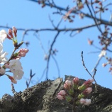 『３連休の準備が整いました』の画像