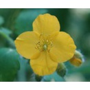 2026年1月14日の出来事