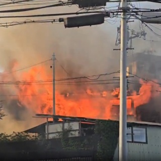 ニュース速報あれこれ総合