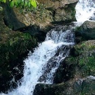 『『京都の川』』の画像