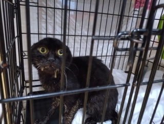 広島本部・12月12日