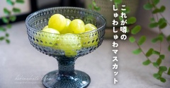 これが噂のしゅわしゅわマスカット