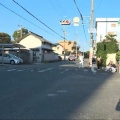 大阪のだんじり2基が相次いで横転　男性2人死亡、16人重軽傷の事故