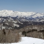 シーバス電脳日誌 ロードバイクでサイクリングも