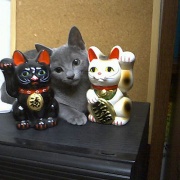 読者の皆様のおかげでブログ開設20年