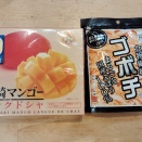 宮崎のマンゴーとゴボウ