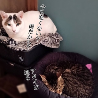 moroのハンドメイド