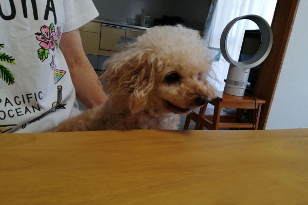 らりるれ るなちゃんず