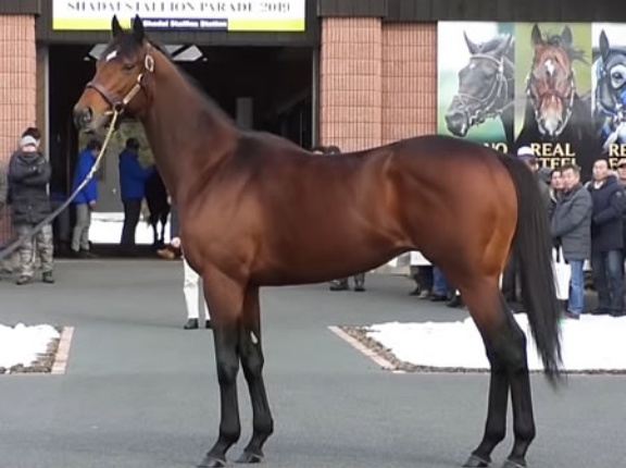 サトノダイヤモンドはなぜ種牡馬失敗したのか