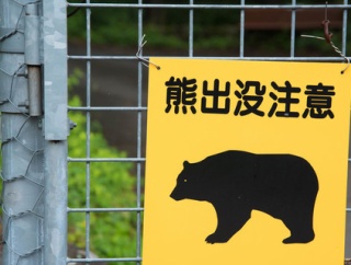 【馬鹿】役所「クマに出くわした場合は2mまで近づいて弱装弾で撃ち殺してね」