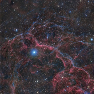 星と畑のシニアライフ