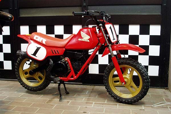 QR50 キッズバイク（中古バイクパーツ販売専門店アイラブ