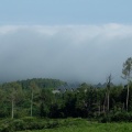 雲海　トトロ峠　沖里河山
