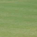 『サッカーと野球、どう違うか? 下|野球があぶない』の画像