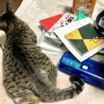 怪しい老人とポンコツ隊！めざせあの丘を！と言うタイトルのblogです。