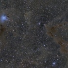 『投稿：BORG72FLによるアイリス星雲　2022/08/21』の画像