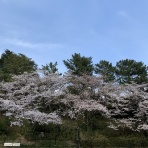 おやぢとアルコール依存症との闘い