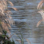 らんぼう窯風信