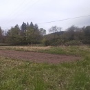 今年一発目の猫授業。