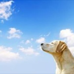 遊ぶ予定の前日「明日や！楽しみいいい！！」当日朝「なんか急にダルなってきたわ」