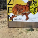 妙心寺、禅の継承