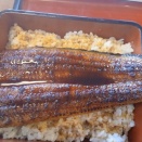 涼しすぎ・土用の丑の日