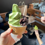 ���ä����Ѥ�äƤ��ޤä�������