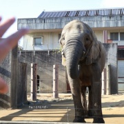 媛ちゃんからプレゼントもらった♪