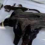 宮崎県 ワンラブ ホームワイドプラス都城店のスタッフblog