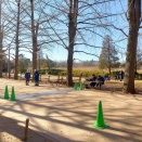 東日本マスターズロードレース完走記－その１