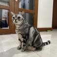 ぱずたん１４歳になりました
