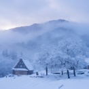 2026.1.13　一枚の彩時季