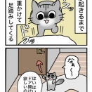 早起きムーブかます猫【VS】起こされる人間