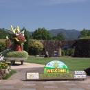 いつものところを撮ってみる(国営讃岐まんのう公園・2026年7月某日)
