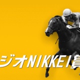 『【掟破りの金になる話】ラジオNIKKEI賞(G3)』の画像