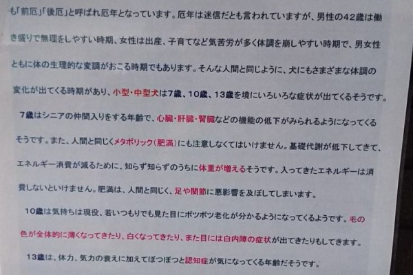 こまりーーーーーんこ 16年03月 こまりーーーーーんこ 16年03月