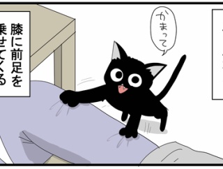 賢さに気付くと愛しさ倍増する