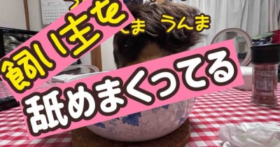 私が作る手抜きおかず。