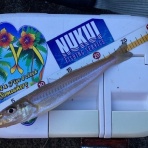 月夜のおっちゃん