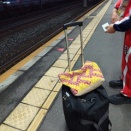 ◆プール◆2度目の春のJOC