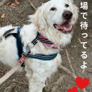 狂犬病接種に行こう！