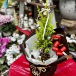 大洋グリーンブログ